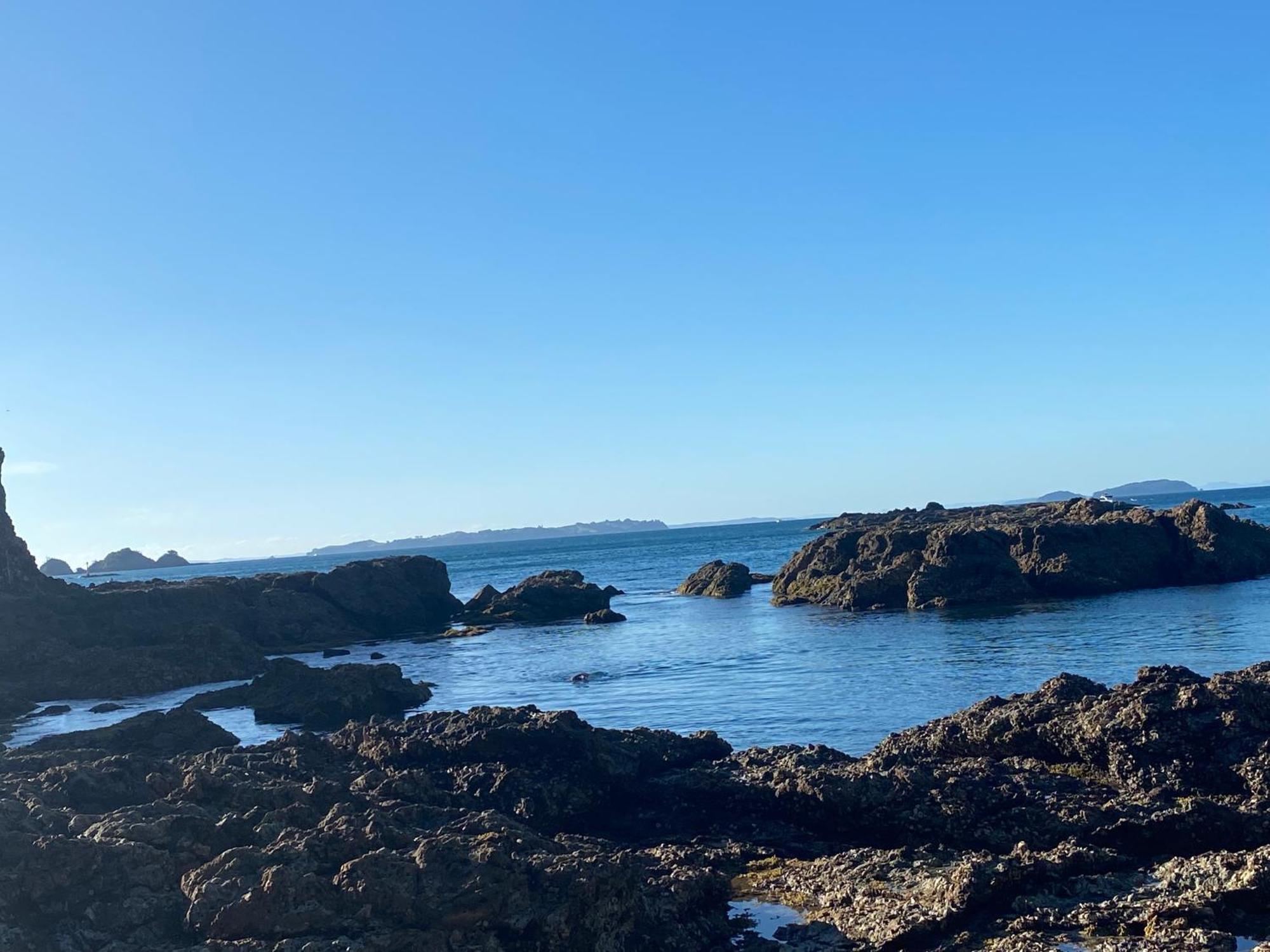 Kereru Cabin - Spectacular Seaviews, Rustic, Glamping Eco Adventure Palm Beach Exterior photo